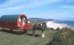 Urlaub im Zigeunerwagen Urlaub im Zigeunerwagen