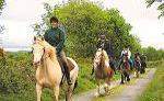Wanderritt Counties Clare und Galway Wanderritt Counties Clare und Galway