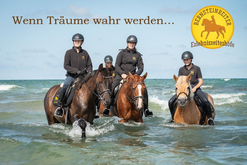 BERNSTEINREITER - Familienurlaub, Reiturlaub, Kinderreiterferien, Urlaub mit dem Pferd an der Ostsee