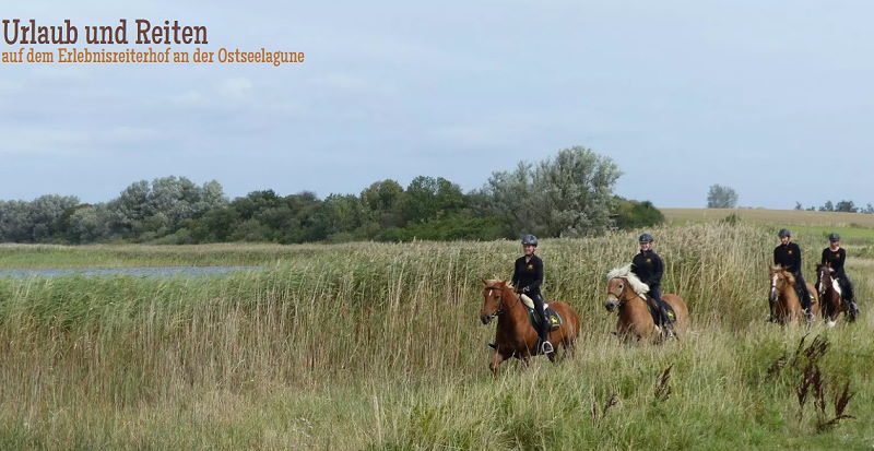 Urlaub und Reiten auf dem erlebnisriterhof an der Osteelagune