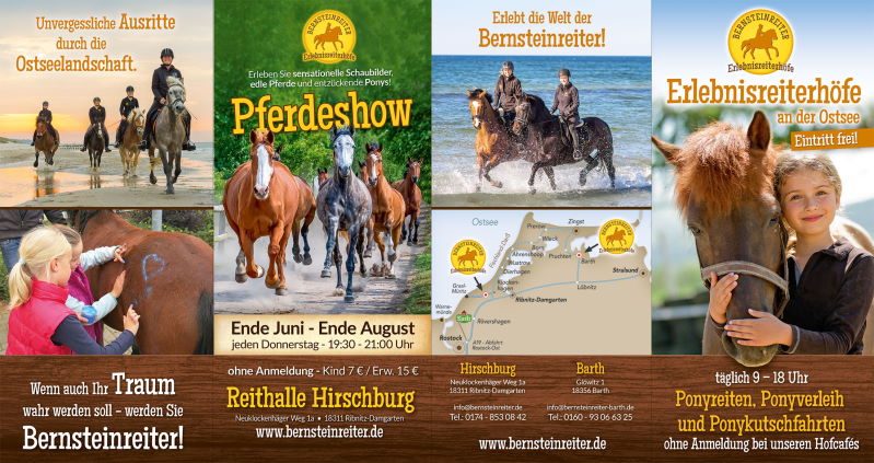 Flyer wenn Träume wahr werden ... Bernsteinreiter Hirschburg - Größter Reiterhof und Ferienpark an der Ostsee