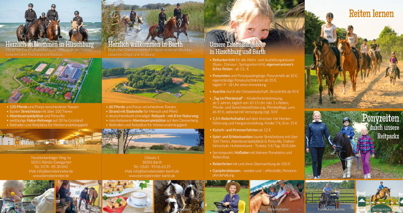 Unsere Erlebnisangebote Reiten lernen, Ponyreiten und mehr in Hirschburg und Barth