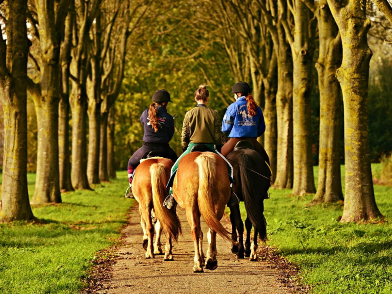 Ausreiten im Park