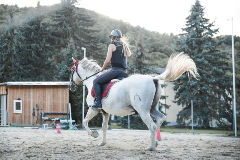 Reiturlaub Ohne Eigenes Pferd