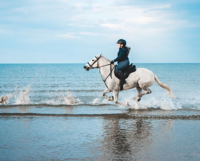 Pferde reiten am Meer