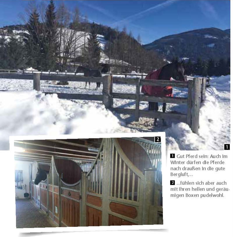 Reiten im Winter, sicher und es macht Spass