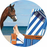 reiturlaum am strand