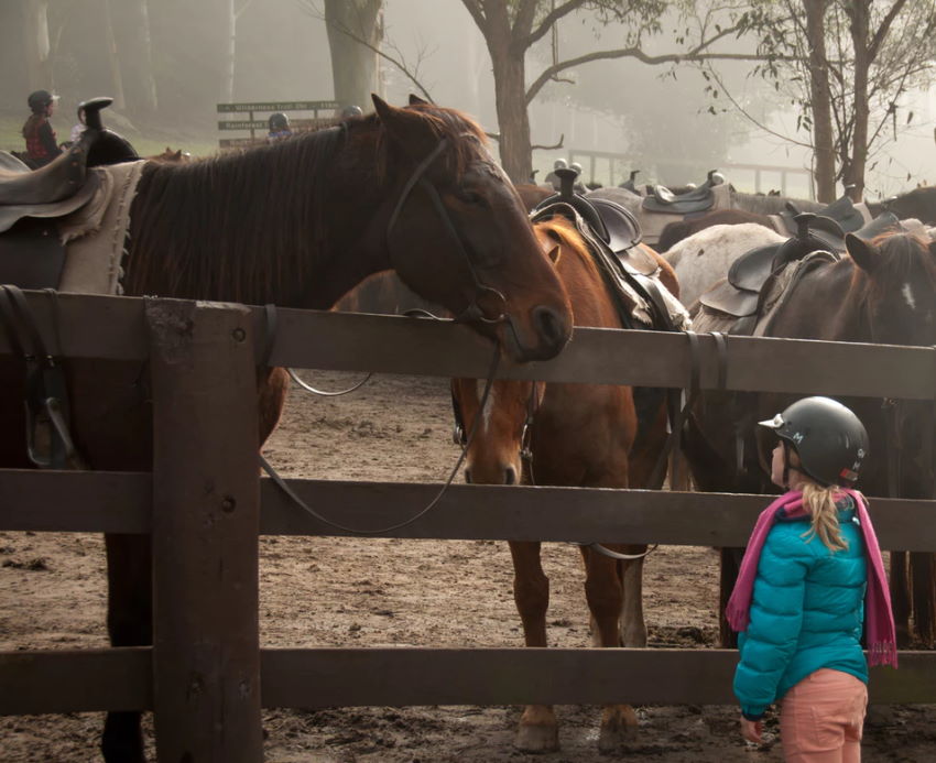 wann sollten Kinder reiten lernen?