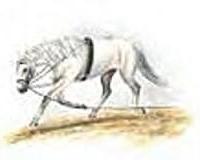 Bei jungen und im Maul empfindlichen Pferden empfiehlt es sich, die Longe...