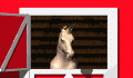 Bevor man Box oder Offenstall betritt,