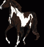 Das Pferd ist ein Lauftier. Darum sollte man