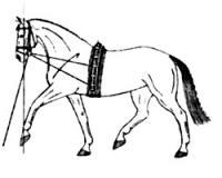 Das Pferd rechts...