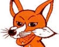 Ein Fuchs ist ein Pferd mit
