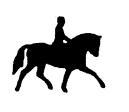 Kann ein Pferd unter dem selben Reiter an einem Turnier in derselben Disziplin in Prüfungen der Klasse A und M teilnehmen?