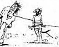 Vor jedem Kopieren von Methoden und/oder Hilfsmitteln beim Longieren sollte sich der Longenführer Gedanken über...