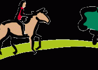 Wann darf der reiterliche Anfänger zum ersten Mal ausreiten?