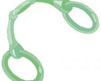 Was wird für die Arbeit an der Longe benutzt?