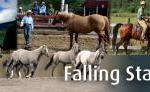Falling Star Ranch