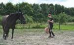 Horse(wo)manSchule In dubio pro Equus