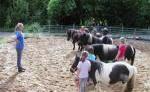 Ponyhof - Mittelfranken