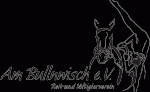 Reit- und Voltigierverein am Bullnwisch e.V.