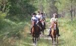 Pferd & Reiter: Frankreich Armagnac
