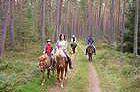 Bayerischer Wald, Reiterhof und Pension Bayerischer Wald, Reiterhof und Pension