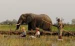 REIT-SAFARI - Botswana REIT-SAFARI - Botswana