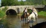 Pferd & Reiter: Frankreich Dordogne Pferd & Reiter: Frankreich Dordogne