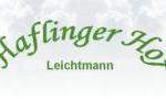 Haflingerhof Leichtmann