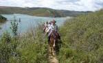 Pferd & Reiter: Portugal Algarve Pferd & Reiter: Portugal Algarve