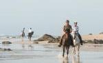 Pferd & Reiter: Portugal Alentejo - Geheimtipp Pferd & Reiter: Portugal Alentejo - Geheimtipp
