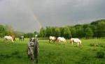 Ranch im Bayerischen Wald