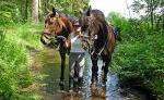 Reitanlage Buchenhof Familie Krüer