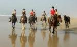Transportugalia-Trail • Ritte auf Lusitanos am Atlantik • Ritte an der Algarve und vieles mehr. Transportugalia-Trail • Ritte auf Lusitanos am Atlantik • Ritte an der Algarve und vieles mehr.