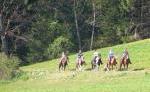Wanderreiten in Tirol Wanderreiten in Tirol