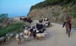 Reiten & Baden am Marmara Meer Reiten & Baden am Marmara Meer
