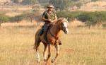 Pferdesafari Sambia Pferdesafari Sambia