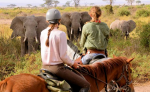 PFERD & REITER: Afrika - Tansania PFERD & REITER: Afrika - Tansania