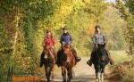 Maultierhof Wanderreitbetrieb - Mit dem Muli auf dem Weg