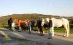 Westernzentrum Westerwald Westernzentrum Westerwald