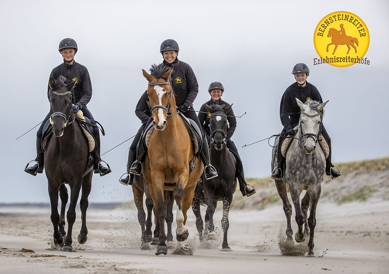 Reiten Professionell Reiten Professionell