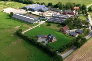 Reiturlaub & Reiterferien auf der Reitanlage Reiterhof Tramm