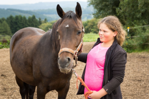 Schulpferde und Ponys auf Hof-Silberberg