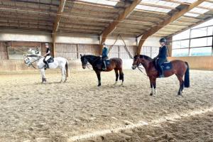 Reiterhof Tramm - Reitunterricht an der Ostsee