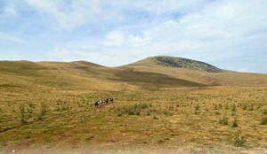 Wanderreiten in Katalonien, Spanien