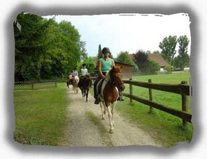 Reiten am Bodensee