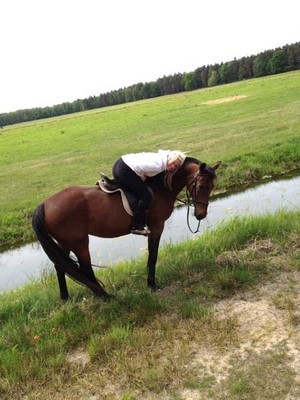 Kleine Pause vom Reiten am Wasser