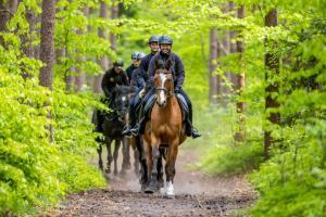 Austritte in den nahe gelegenen Wald