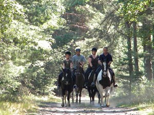 Ausreiten in die Natur Brandenburgs